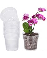 Clear orchid pot 21cm