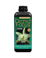 Orchid Focus Grow 300ml
