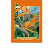 Strelitzia reginae
