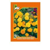 Marigold, French dwarf double mixed