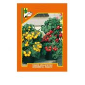 Tomato ornamental