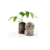 Peat plugs Jiffy 41mm
