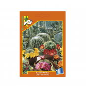 Cactus mixed 