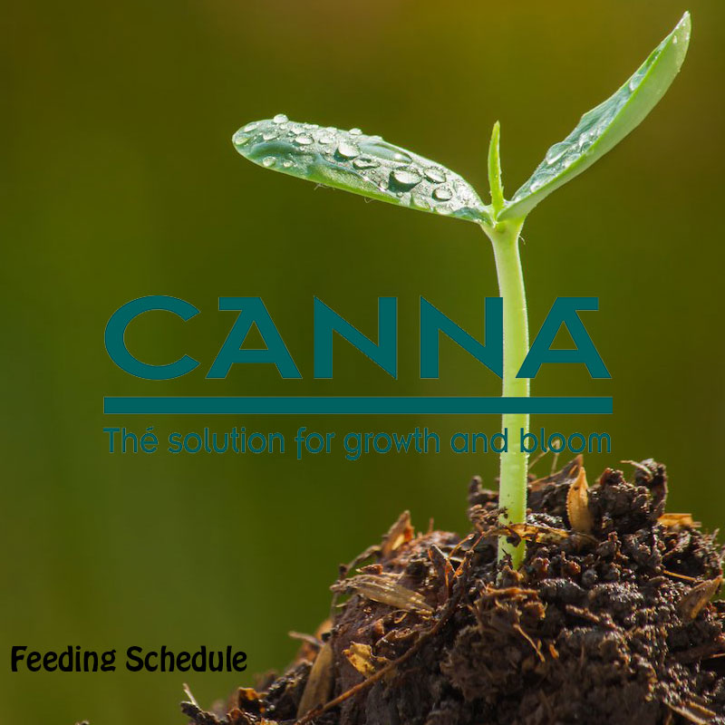Πρόγραμμα Λίπανσης Canna