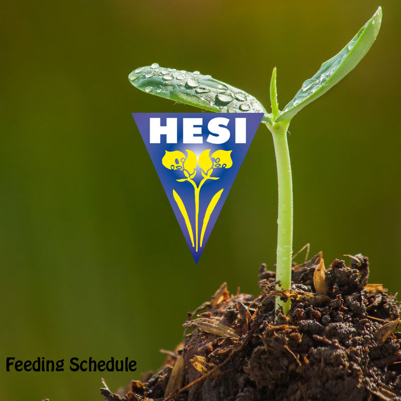 Πρόγραμμα Λίπανσης HESI