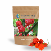 Carolina Reaper Red (1000 seeds )