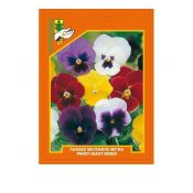 Pansy, Swiss Giant, mixed