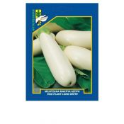 White long Eggplant