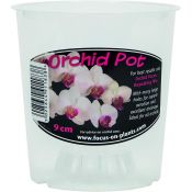Clear orchid pots 9cm