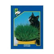 Cat's Herb