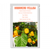 Habanero Yellow (10 σπόροι)