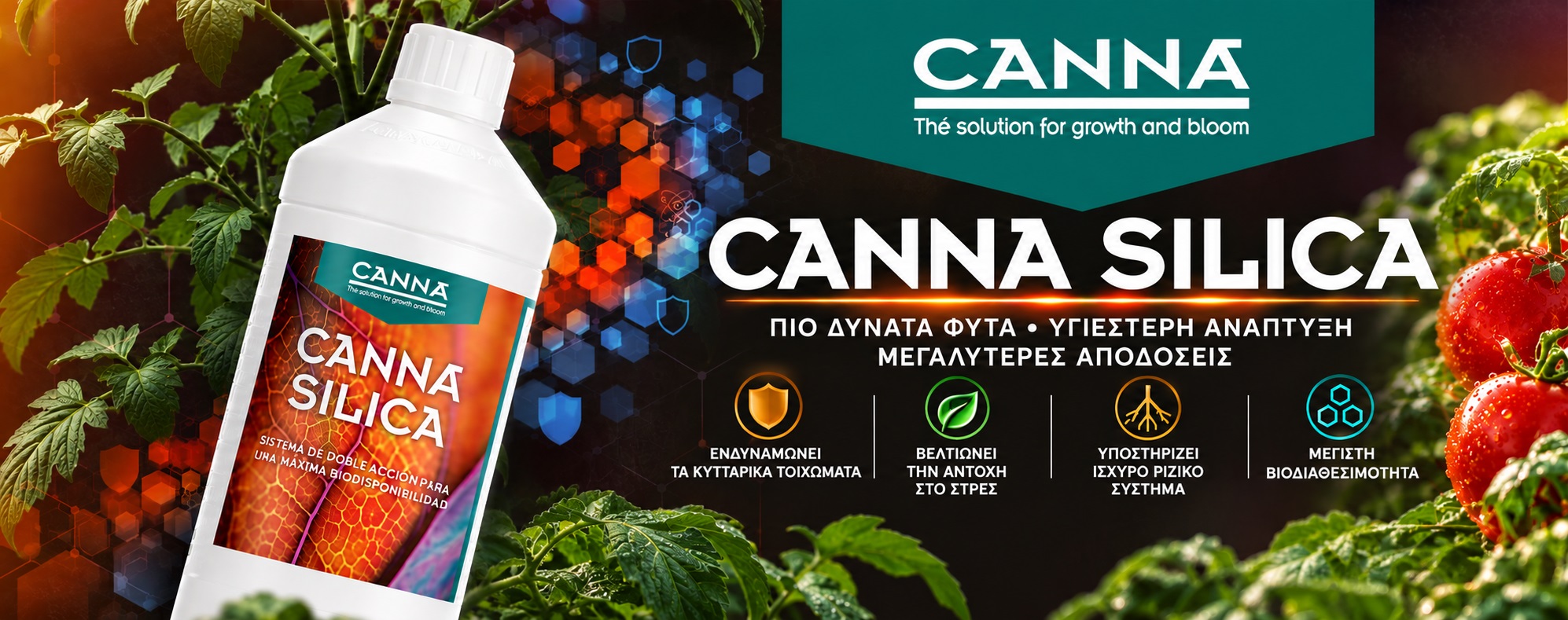 CANNA SILICA