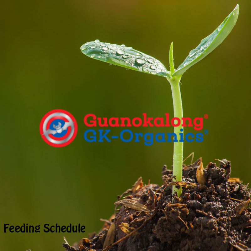 Πρόγραμμα Λίπανσης Guanokalong
