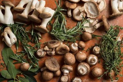 Nutritional and medicinal value of mushrooms