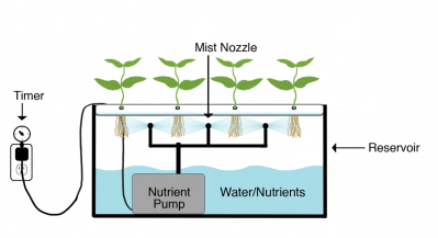 Υδροπονική εσωτερική καλλιέργεια - Γενικές πληροφορίες